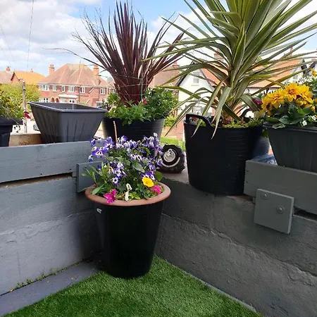 Central Close To Beach Pier Flowergate Gasthuis *